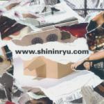Download lagu Shininryu (Mini Album) mp3 gratis