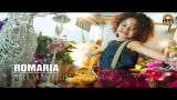 Download Video Lagu Romaria - Malu Sama Kucing [Official Music Video] Gratis