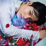 Music Flame Of Love - EP mp3 Terbaru