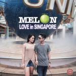 Melon Love In Singapore Musik Terbaik