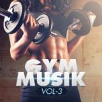 Gym Music (Vol. 3) lagu mp3 Terbaik