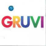Download lagu mp3 Gruvi gratis di LaguMp3.Info