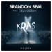 Download mp3 Brandon Beal ft. Lukas Graham - Golden (KRAS Remix) [Free Download]