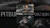 Lagu Video Pitbull. Nowe porządki Terbaru 2021 di zLagu.Net