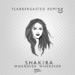 Download mp3 Shakira - Whenever Wherever (Flabbergasted Remix) FREE FULL DOWNLOAD gratis