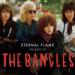 Download musik Eternal Flame | The Bangles terbaik - zLagu.Net