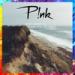 Download lagu mp3 Pink - What About Us ( Roman Müller Remix ) di zLagu.Net