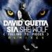 David Guetta feat. Sia - She Wolf (Falling To Pieces) Music Mp3