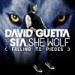 Mendengarkan Music She Wolf (Falling To Pieces) Original Mix - David Guetta Feat. Sia mp3 Gratis