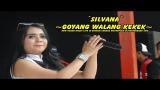 Download Video Silvana - Goyang Walang Kekek - New Buana Music Live In Bisham Chenoa Waterpark BlitarTerbaru 2018 Terbaik - zLagu.Net