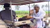 Video Lagu Maria Nabila - Halimah [Official Music Video] di zLagu.Net