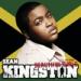 Download lagu Beautiful Girls - Sean Kingston (Jason Ross Remix) Free Download gratis