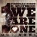 Free Download lagu Pegboard Nerds ft. Splitbreed - We Are One (Radio Edit)