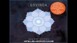 Download Vidio Lagu govinda - electric gypsy Gratis