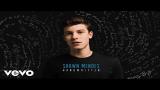 Video Lagu Shawn Mendes - Kid In Love (Audio) Music Terbaru