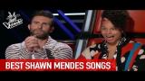 Download BEST SHAWN MENDES songs on The Voice | The Voice Global Video Terbaik