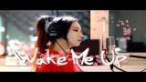 Video Musik Avicii - Wake Me Up ( cover by J.Fla )