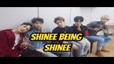 Video Lagu SHINee being SHINee Terbaru 2021