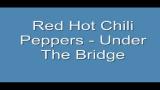 Download Video Lagu Red Hot Chili Peppers - Under The Bridge (Lyrics) Gratis - zLagu.Net