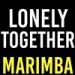 Download mp3 Lonely Together Marimba Ringtone - Aviici feat. Rita Ora music Terbaru - zLagu.Net
