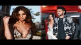 Download Video Selena Gomez Gushes About "Supportive" Relationship with the Weeknd Terbaik