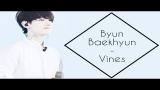 Download Video Lagu EXO - BAEKHYUN VINES ♡ Music Terbaru
