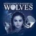 Download Wolves - Selena Gomez ft Marsmellow cover by Vindy Fad mp3 Terbaru
