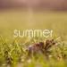 Lagu terbaru Calvin Harris - Summer (Filous & Kitty Gorgi Cover)
