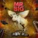 Mr.Big - Undertow lagu mp3 Terbaik