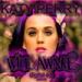 Download lagu Katy Perry - Wide Awake (digital-eS remix) gratis