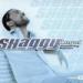 Download musik [ 088 ] Shaggy - Angel [ SeoZ ] mp3