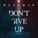 Lagu Blinkie – Dont Give Up (On Love) (Tom Zanetti & K.O Kane Remix) terbaru