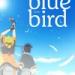 Download lagu Terbaik Naruto Shippuden OST - Blue Bird mp3