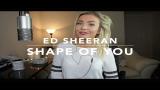 Download Lagu Ed Sheeran - Shape Of You | Cover Music - zLagu.Net