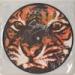Survivor - Eye Of Tiger (Slicer Edit)***NEW LINK*** lagu mp3 Terbaru