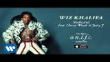 Video Musik Wiz Khalifa - Medicated feat. Chevy Woods & Juicy J [Official Audio]