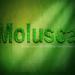 Lagu terbaru Molusca - kekasih hati (new version)