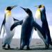 Musik Mp3 Pinguin Dance - (ORIGINAL) terbaik