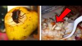 Video Lagu Top 10 Disgusting SCHOOL LUNCHES! (Grossest Things Found In School Lunch, Worst Food, Bugs) Terbaru