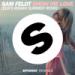 Download mp3 Terbaru Sam Feldt - Show Me Love (EDX's Indian Summer Remix)