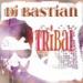 Lagu TRIBAL 2012 DJ BASTIAN MEGAMIX terbaik