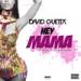 Download mp3 David Guetta & Afrojack Ft Nicky Minaj - Hey Mama (SayDamn Remix) music baru - zLagu.Net