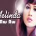 Download lagu gratis Dangdut Remix - Aw Aw - Melinda mp3