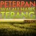 Download mp3 Peterpan - Walau Habis Terang (Instrumental Karaoke) music baru - zLagu.Net