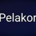 Download lagu gratis DJ Pelakor Medan 2K18 (Req~Nuraidah) terbaik
