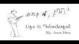 Download Vidio Lagu Jason Mraz - Life is Wonderful Music Video Musik di zLagu.Net