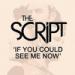 Download lagu mp3 The Script - If You Could See Me Now baru
