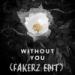 Lagu mp3 Without You - Avicii feat.Sandro Cavazza (Fakerz Edit) gratis