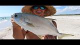 Lagu Video The BEST Tasting Fish is Swimming Beneath Your Feet- Florida Pompano- Catch, Clean and Cook!! Terbaru 2021