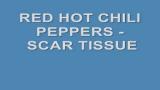 Download Lagu Red Hot Chili Peppers - Scar Tissue (Lyrics) Music - zLagu.Net